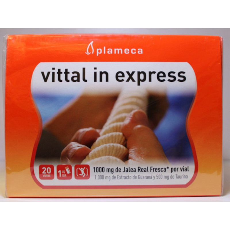VITTAL IN EXPRESS - 1000MG - PLAMECA