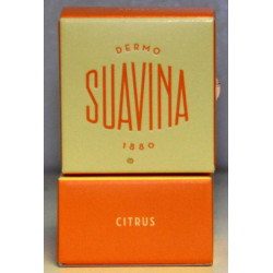 BÁLSAMO LABIAL - CITRUS -...
